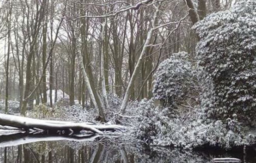 Multiple Persönlichkeitsstörung: Malin