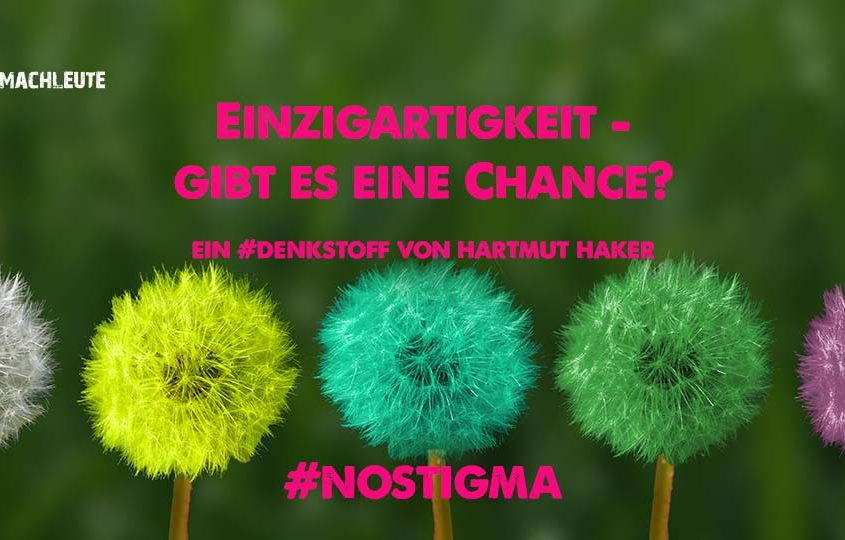 Einzigartigkeit Pusteblume